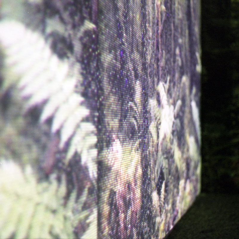 Photo of the pixelated projection of the picture of forest like wallpaper